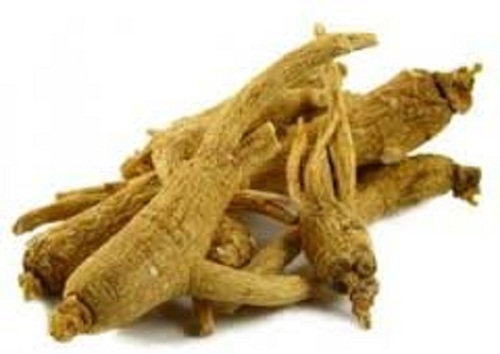 Ginseng